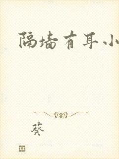 隔墙有耳小说封面