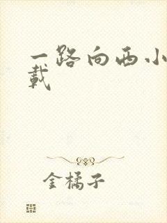 一路向西小说下载封面