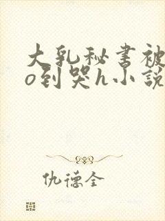 大乳秘书被cao到哭h小说