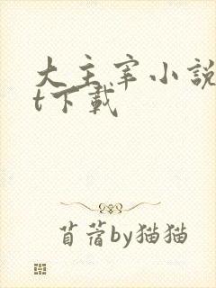 大主宰小说txt下载