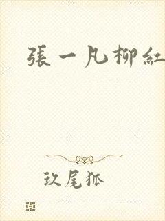 张一凡柳红