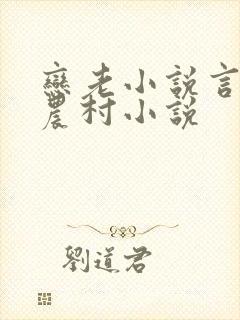 恋老小说言情网农村小说