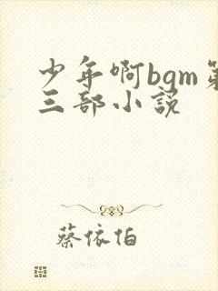 少年啊bgm第三部小说