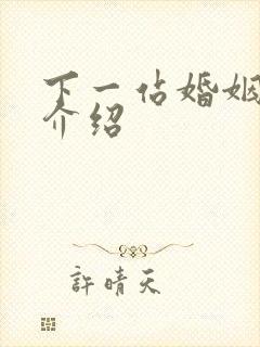 下一站婚姻剧情介绍封面