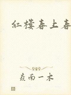 红楼春上春封面