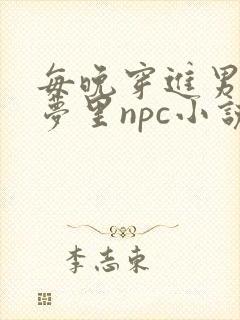 每晚穿进男神的梦里npc小说