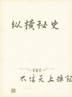 纵横秘史封面