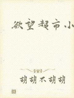 欲望超市小说封面