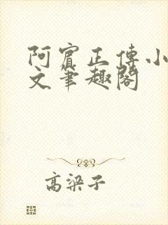 阿宾正传小说全文笔趣阁