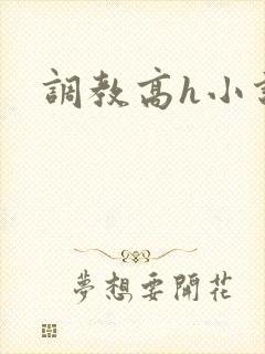 调教高h小说封面