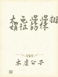 大龟慢慢挺进张娟征的休封面