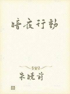 暗夜行动