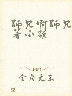 师兄啊师兄的原著小说