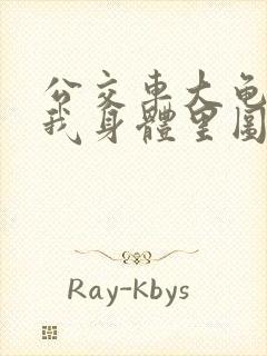 公交车大龟廷进我身体里图封面