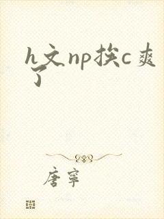 h文np挨c爽了