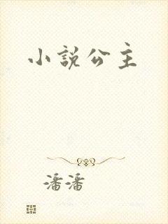 小说公主封面