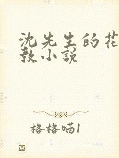 沈先生的花式管教小说