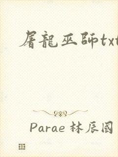屠龙巫师txt