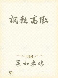调教高傲
