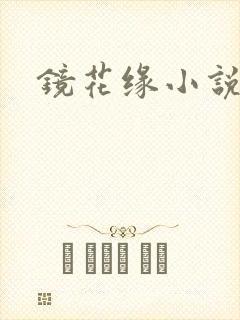 镜花缘小说