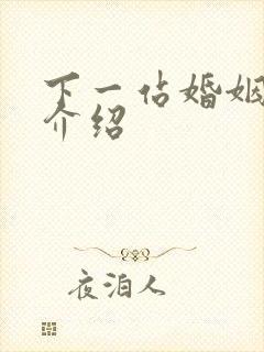 下一站婚姻剧情介绍