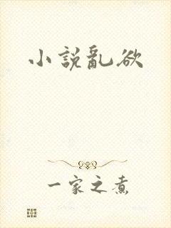 小说乱欲封面