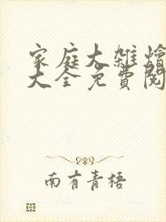 家庭大杂烩小说大全免费阅读封面