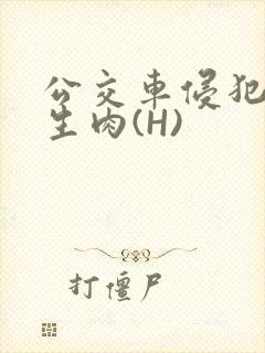 公交车侵犯小男生肉(H)