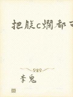 把朕c烂都可以封面