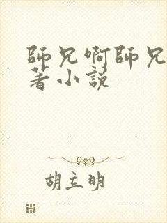 师兄啊师兄的原著小说