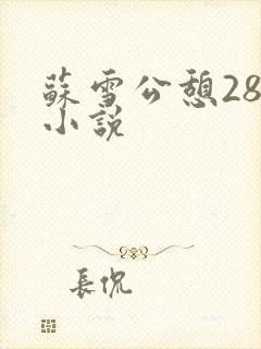 苏雪公憩28篇小说封面