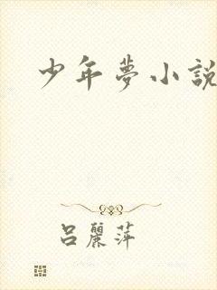 少年梦小说