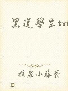 黑道学生txt