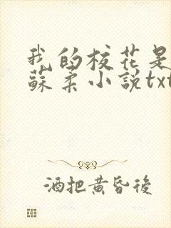 我的校花是福姬苏柔小说txt