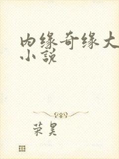 内缘奇缘大团圆小说封面