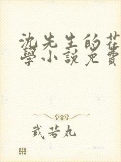 沈先生的花式教学小说免费封面