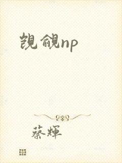 觊觎np