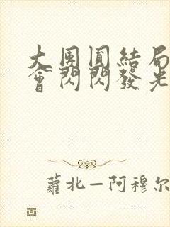 大团圆结局亲情会闪闪发光封面