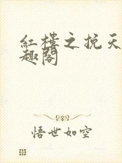 红楼之挽天倾笔趣阁