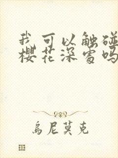 我可以触碰你的樱花深处吗封面