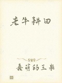 老牛耕田
