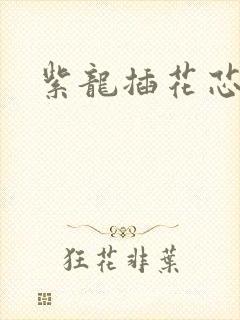 紫龙插花芯方正封面