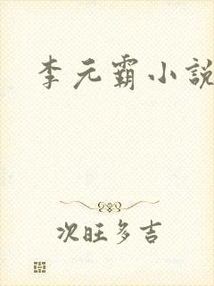 李元霸小说封面
