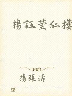 杨钰莹红楼