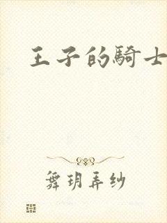 王子的骑士