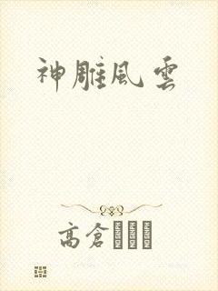 神雕风云封面