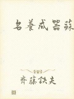 名养成器苏沫沫