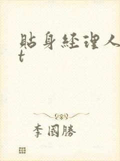 贴身经理人txt封面