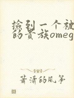 捡到一个被抹布的贵族omega