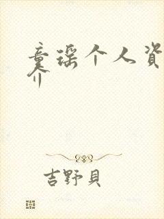 童瑶个人资料简介